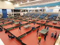 Ponds Forge International Sports Centre 230490 Image 6