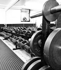 Squats Gym 229701 Image 4